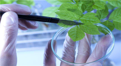 水質采樣器是做什么的，有什么應用？